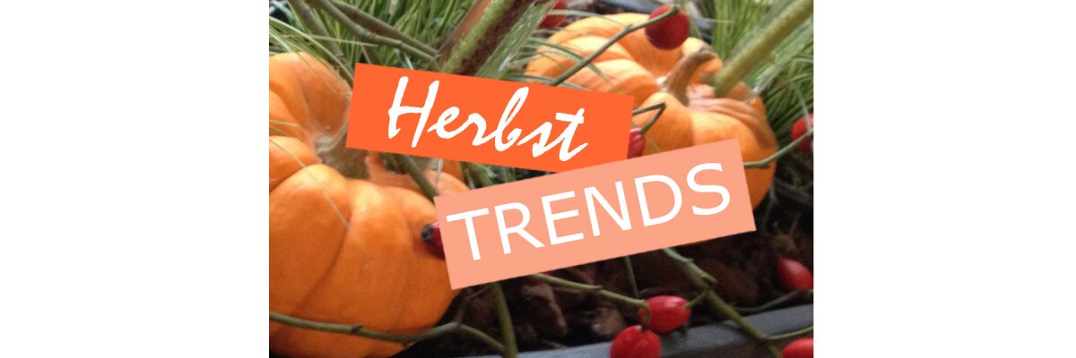 Die Lesebrillen-Trends im Herbst 2023 - Die Lesebrillen-Trends im Herbst 2023