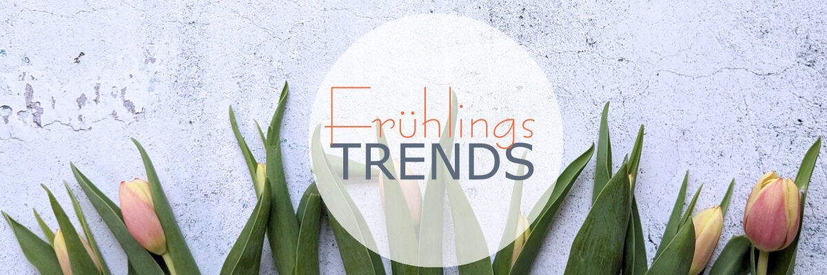 Die Lesebrillen-Trends im Frühjahr 2024 - Die Lesebrillen-Trends im Frühjahr 2024