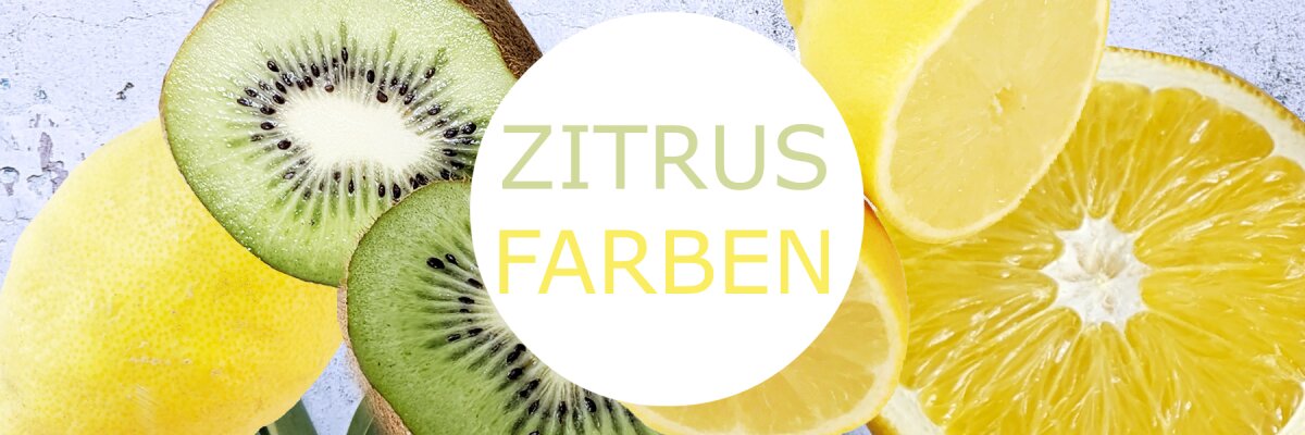 Die Lesebrillen-MustHaves im September 2024 - Die Lesebrillen-MustHaves im September 2024