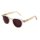 Lesesonnenbrille CURTIS champagner