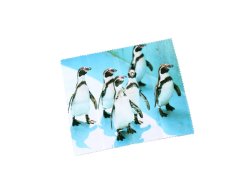 Mikrofasertuch CUTE ANIMALS - Penguin-Crew