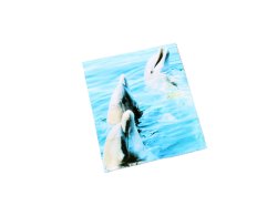 Mikrofasertuch CUTE ANIMALS - Happy Dolphins